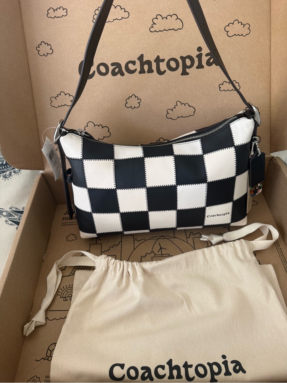 Coachtopia Alter Ego Slouchy Shoulder Bag